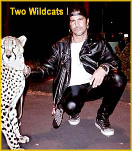 Two Wildcats