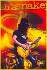 SLASH And The Snake Logo