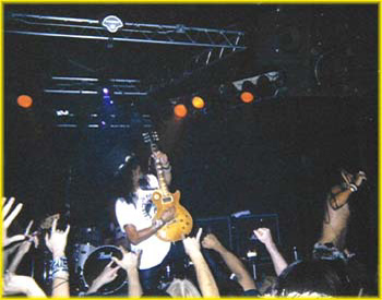 Rockin' The Whisky